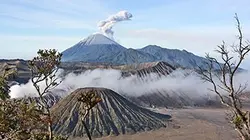 Visuel de La Terre en colère