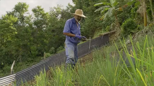 La terre en héritage replay