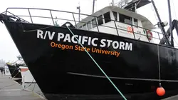 La terre gronde Catastrophes