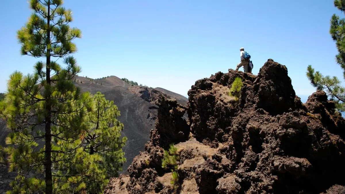 La terre gronde Tsunami