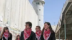 Visuel de La terre promise