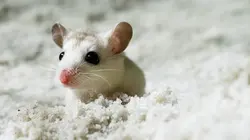 La Terre vue de l'espace