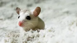 La Terre vue de l'espace