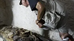 Visuel de La tombe mystérieuse de la vallée des rois