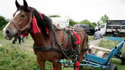La Transylvanie : Au coeur de la Roumanie