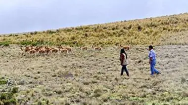 La traversée du désert jusqu'à Lima