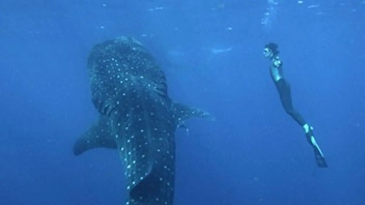 La traversée des mondes