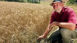 La Turquie face à la crise alimentaire