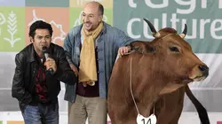 La vache en streaming