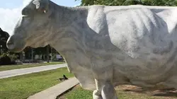 Visuel de La vache de marbre