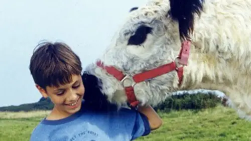 La vache et le président en streaming