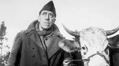 La vache et le prisonnier