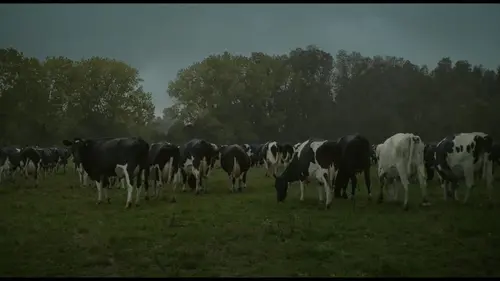 La vache qui chantait le futur