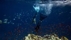 La vague verte S01E02 Egypte