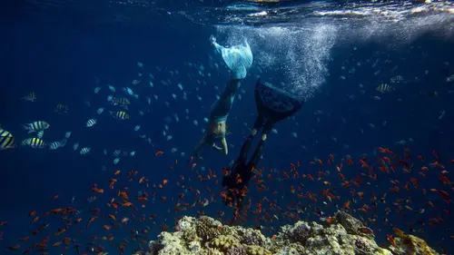 La vague verte S01E02 Egypte