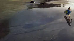 La vague verte S01E06 Colombie