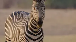 La vallée de l'eau et du feu