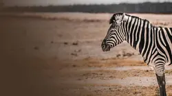 La vallée de l'eau et du feu S01E02 Après la pluie
