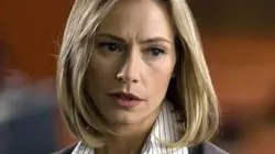 Visuel de La vallée des tempêtes