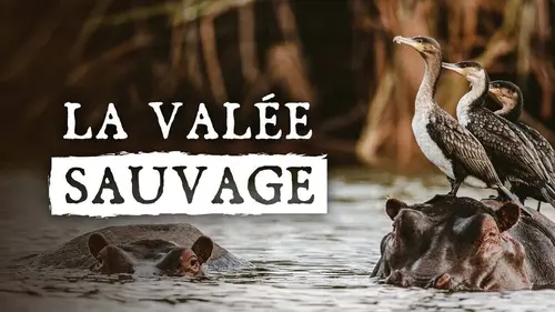 La vallée sauvage S01E02 Le grand méandre