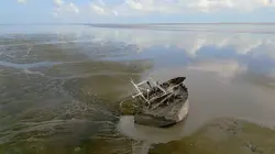 La vase source de vies