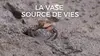 2022 • La vase source de vies
