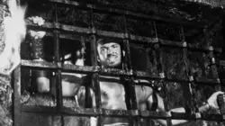 La vengeance d'Hercule