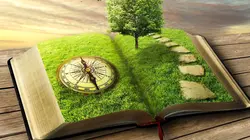 La vengeance du Petit Chaperon rouge