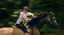 La véritable histoire de d'Artagnan