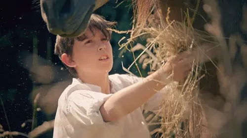 Audiences TV : La véritable histoire de d'Artagnan