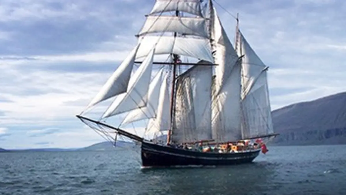 La véritable histoire de Moby Dick