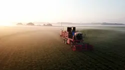 La vérité si je menthe