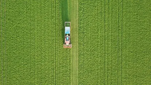 La vérité si je menthe