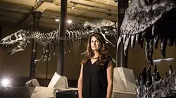 La vérité sur le T rex