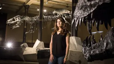 La vérité sur le T-Rex