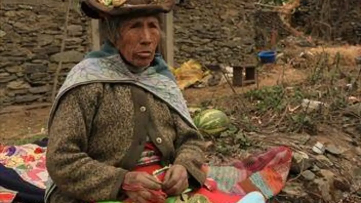 La vie au sommet La cordillère des Andes