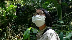 La vie cachée des bonobos