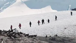 La vie cachée en Antarctique