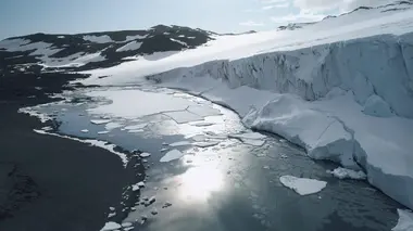 La vie cachée en Antarctique La vie cachée en Antarctique