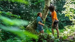 La vie compliquée de Léa Olivier