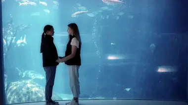 La journée des métiers