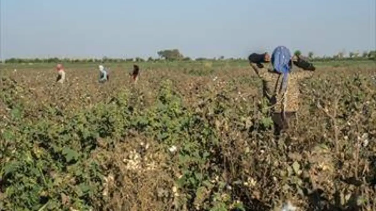 La vie d'une petite culotte