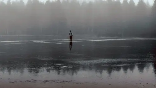 La vie dans les bois d'après "Walden" de Henry David Thoreau