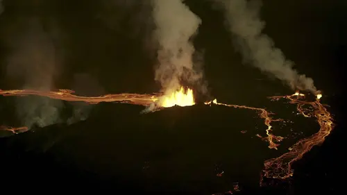 Casting La vie de la terre