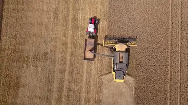 La vie est dans le pré
