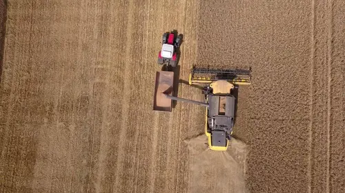 La vie est dans le pré