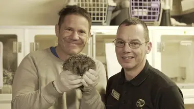 La vie nocturne des animaux