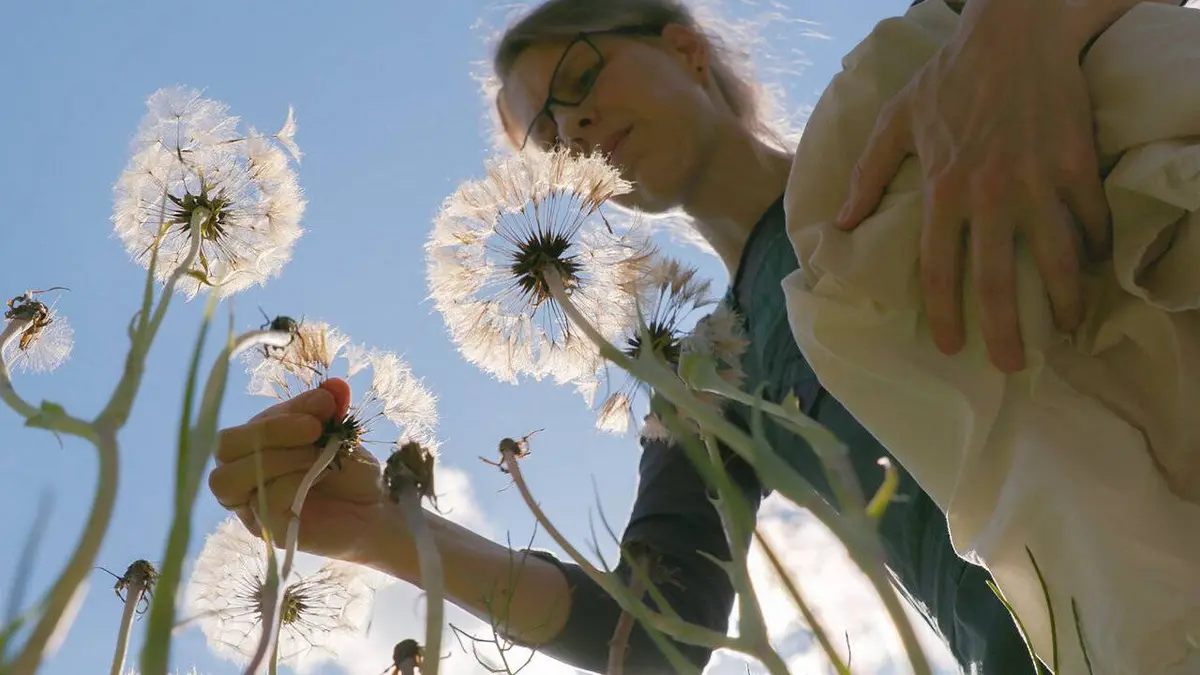 La vie sauvage du jardin E03 Une journée d'été
