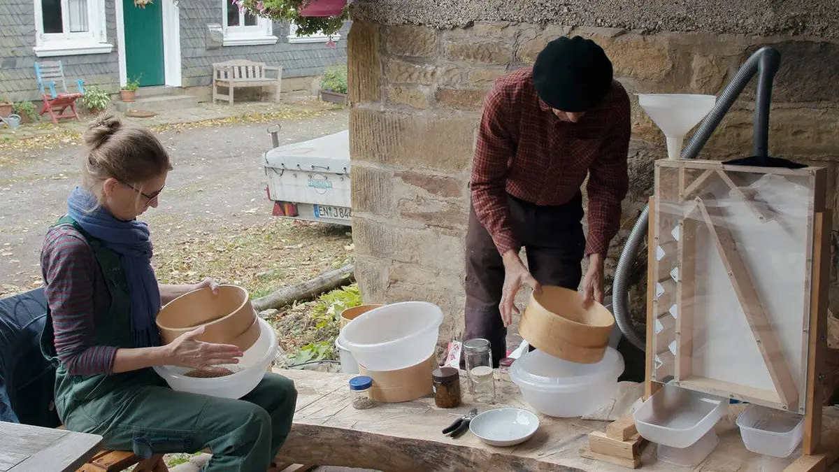 La vie sauvage du jardin E04 Une journée d'automne