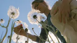 Visuel de La vie sauvage du jardin : Une journée d'été